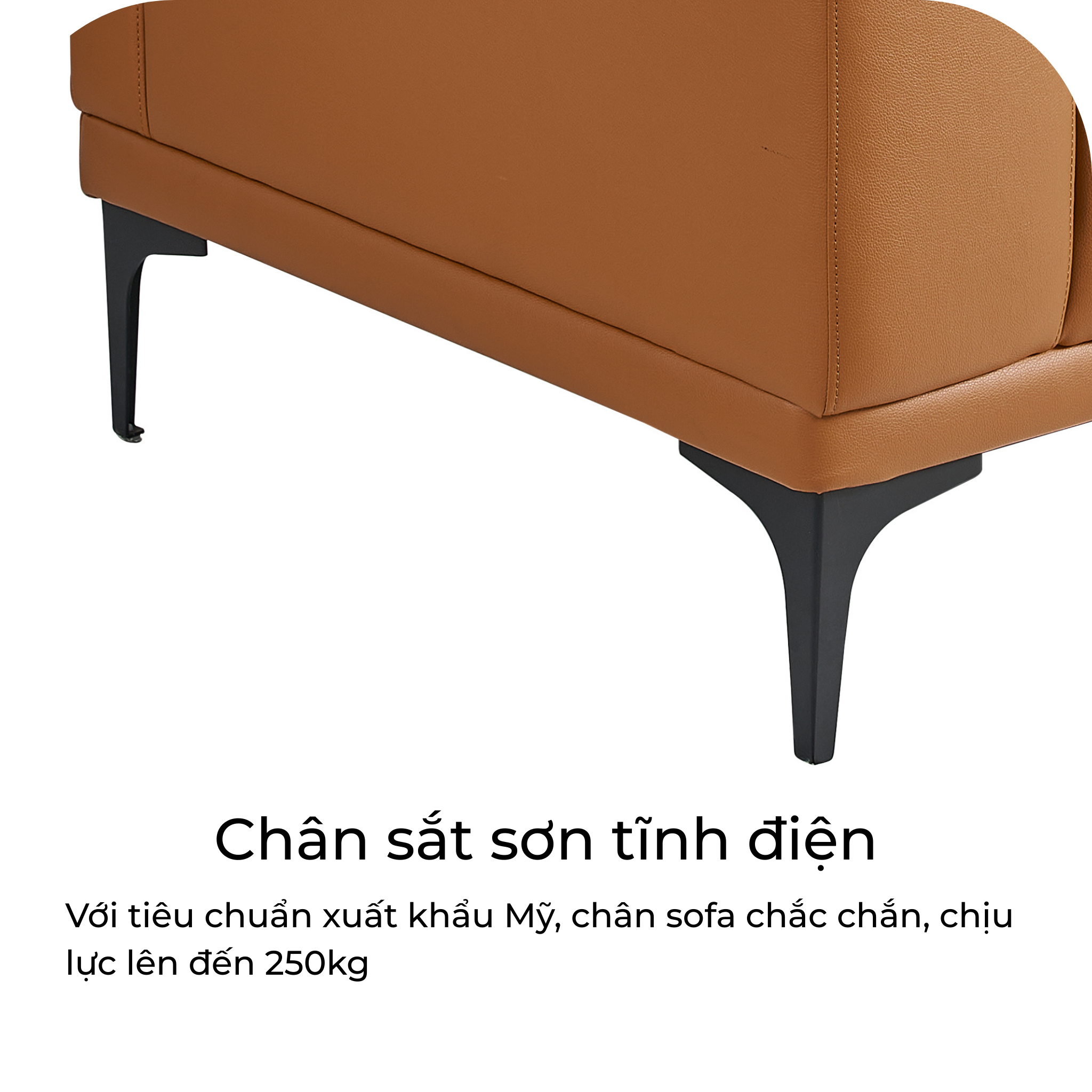 sofa da riga