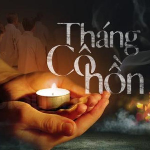 Hình ảnh bài viết