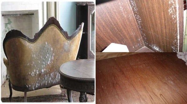 Tại sao cần bảo vệ nội thất gỗ trong thời tiết nồm ẩm trong thời tiết nồm ẩm?