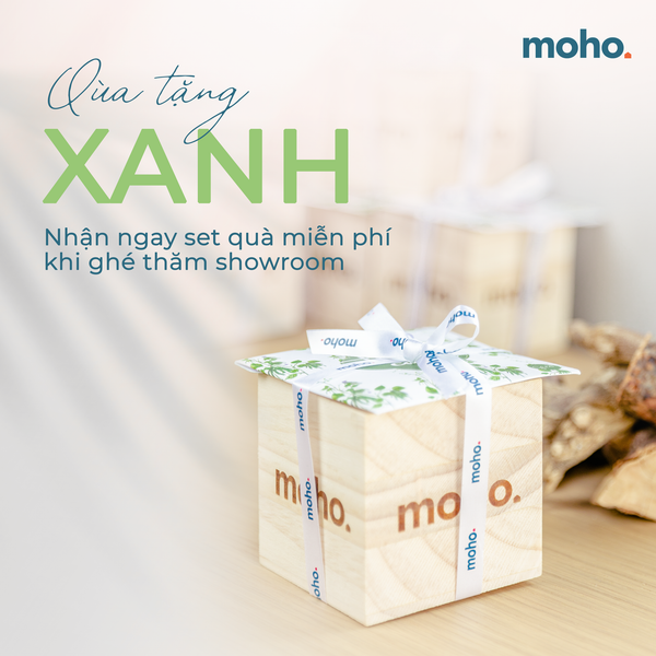 Hình ảnh bài viết