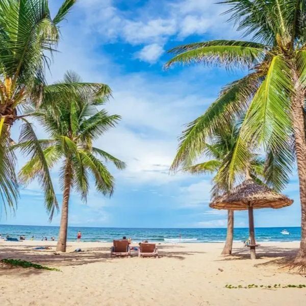Hình ảnh bài viết