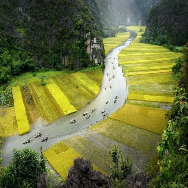 Hình ảnh bài viết
