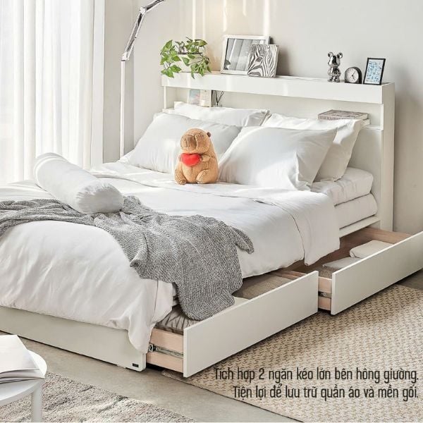 Hình ảnh bài viết