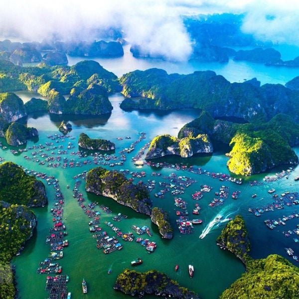 Hình ảnh bài viết