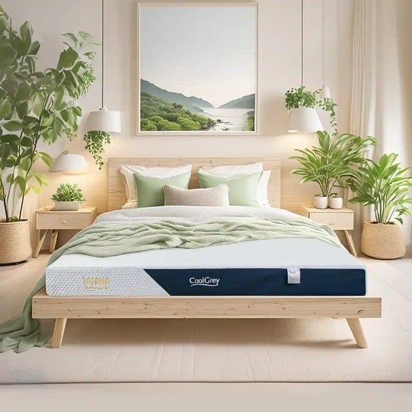 Hình ảnh bài viết