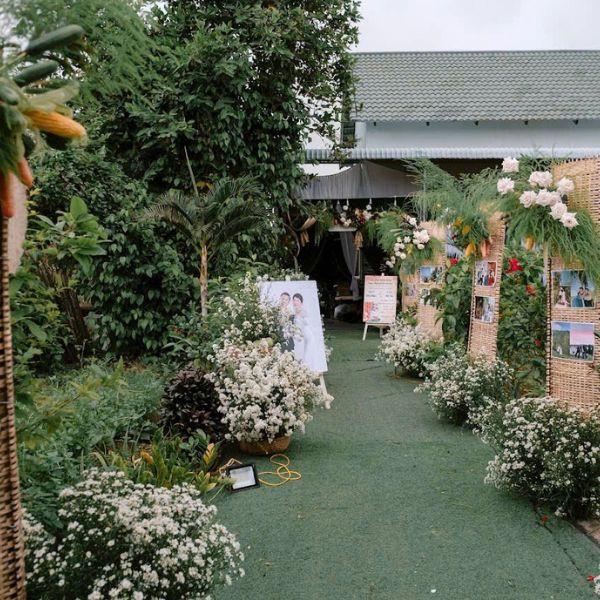 Hình ảnh bài viết