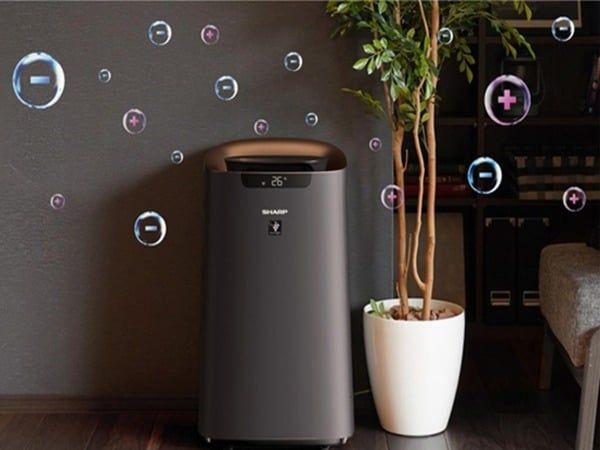 Máy lọc không khí và cây xanh trong không gian sống hiện đại