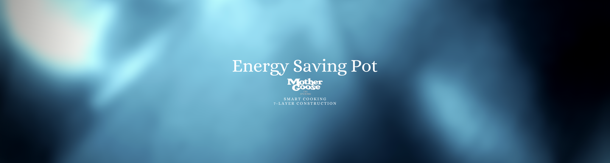 ENERGY SAVING POT