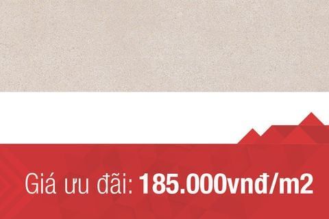 Chương trình ưu đãi dành cho gạch với giá hấp dẫn