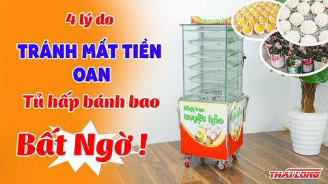 Tủ hấp bánh bao mini- 4 điều cần tránh để không mất tiền oan