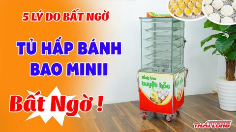 Tủ hấp bánh bao mini và 5 công dụng tuyệt vời nó mang lại