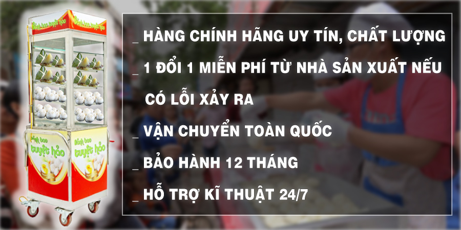 Mua sản phẩm tủ hấp bánh bao mini di động VN-400DP tại Hà Nội và TP. HCM