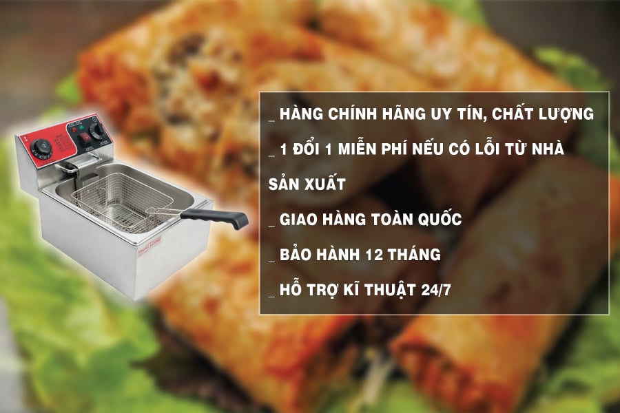 Bếp chiên đơn điện tích hợp hẹn giờ 81D