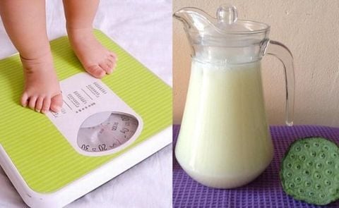 Điểm danh các loại sữa hạt tăng cân cho bé các mẹ không thể bỏ qua!