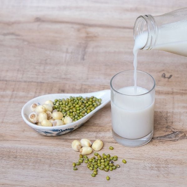 8 Cách làm sữa hạt sen đậu xanh thơm ngon, bổ dưỡng đơn giản tại nhà 7