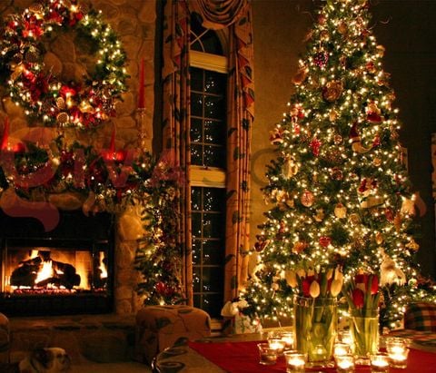 Ý tưởng trang trí cây thông noel dễ làm với đèn LED