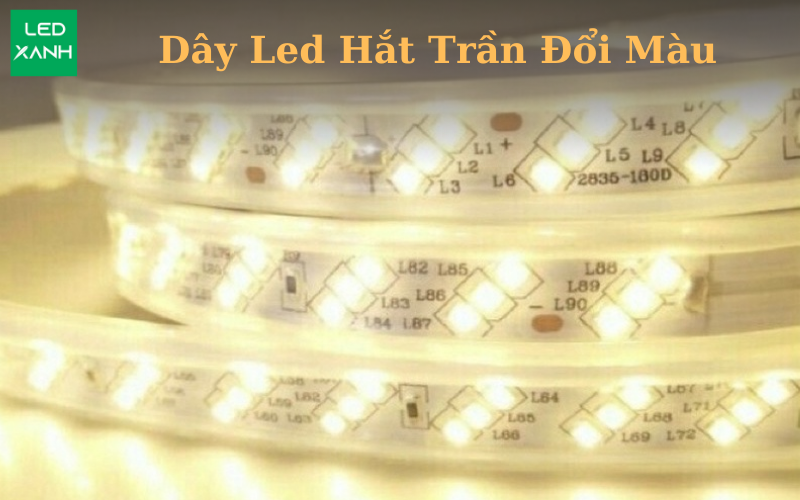 Top Mẫu Dây Led Hắt Trần Đổi Màu Đẹp Tháng 03-2026