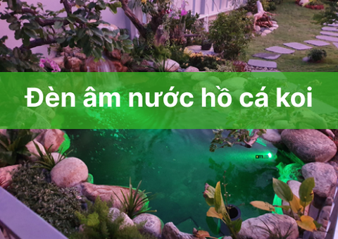 Đèn âm nước hồ cá koi: cách chọn & bảng giá tháng 11-2024