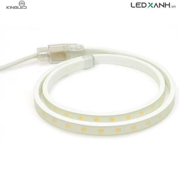 den-led-day-5050-60-led-m-8w-m-kingled