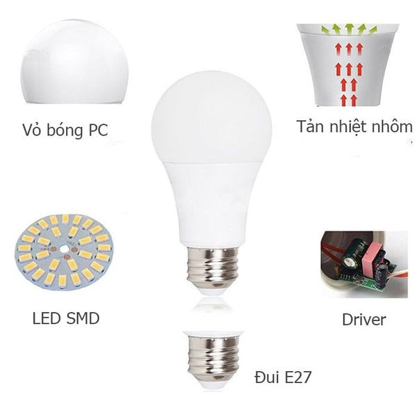 den-led-bulb-dob-kingled