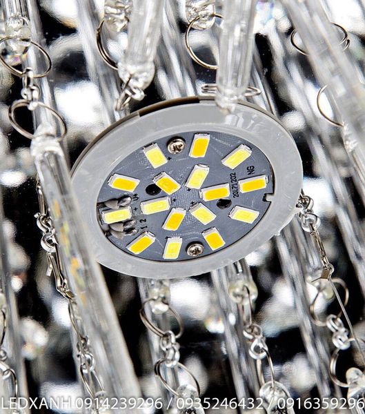 den-mam-pha-le-m9004