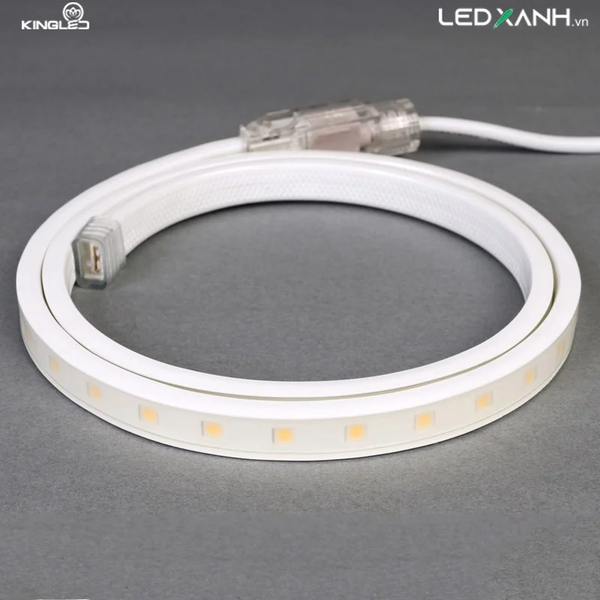 den-led-day-5050-60-led-m-8w-m-kingled