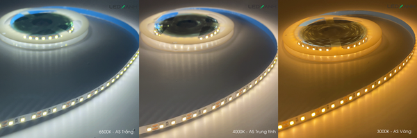 den-led-day-dan-12v-maxben1