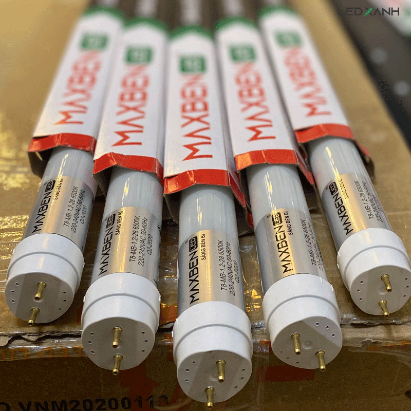 den-led-tuyp-t8-18w-1-2m-maxben