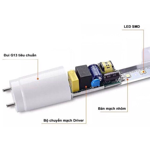den-tuyp-led-t8-maxben