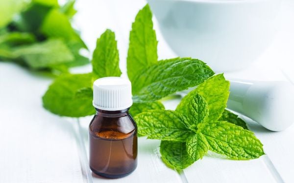 Chiết xuất bạc hà dùng trong mỹ phẩm để làm gì?