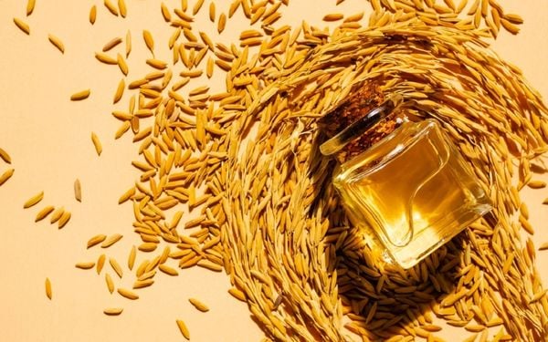 Dầu cám gạo - Thành phần diệu kỳ cho làn da