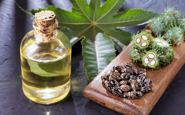 Dầu thầu dầu hợp chất dưỡng ẩm tuyệt vời cho làn da