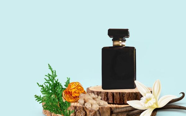 Hương cuối nước hoa gồm những mùi hương phổ biến nào?