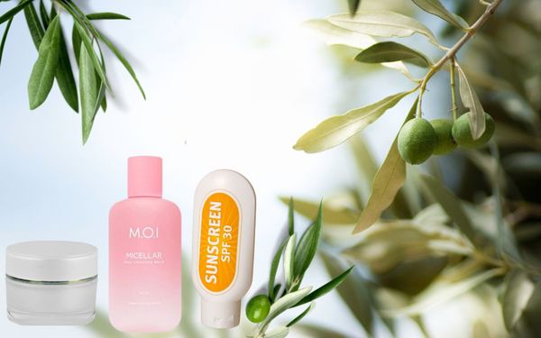 Chiết xuất lá oliu và công dụng tuyệt vời trong chăm sóc sắc đẹp