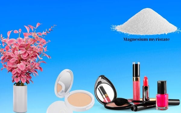 Magnesium myristate: Nguyên liệu mỹ phẩm giúp giữ lớp nền bám màu lâu trôi