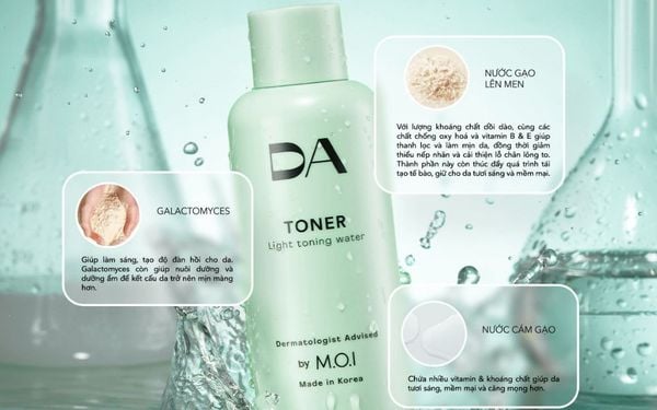 Men galactomyces: Giải mã thành phần 