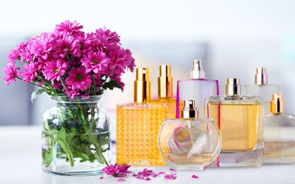 Nên mua nước hoa nữ loại nào để tạo dấu ấn riêng biệt cho bạn?