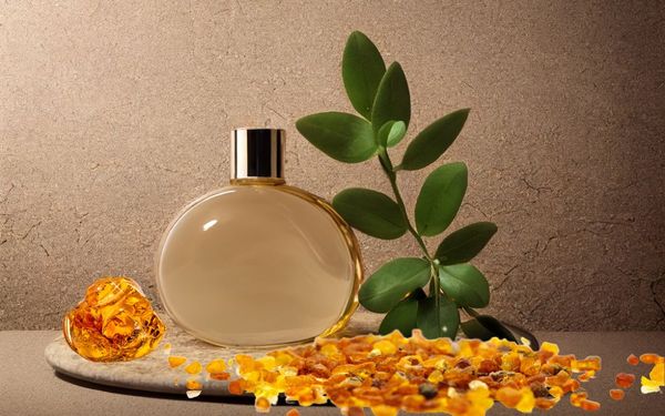 Tạo dấu ấn độc đáo với hương nước hoa nữ có mùi hổ phách