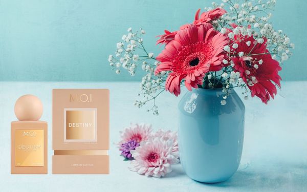 Nước hoa nữ thơm lâu tỏa hương xa giúp bạn luôn tự tin