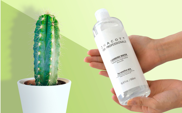 Nước tẩy trang Chacott For Professionals Cleansing Water - Bảo bối cho làn da nhạy cảm