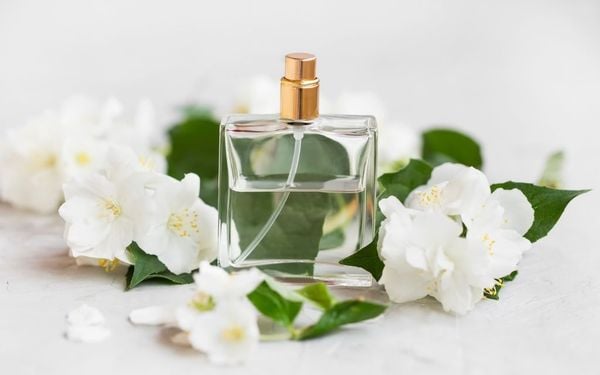 Nước hoa hương hoa nhài - Mùi hương tinh tế cho cô nàng thanh lịch