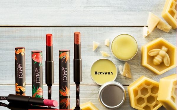 Sáp ong - Thành phần dưỡng ẩm quan trọng không thể thiếu trong son môi