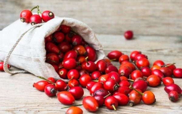 Nụ tầm xuân là gì? Công dụng của nụ tầm xuân trong dưỡng da