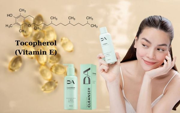 Tocopherol là gì? Vitamin E bảo vệ da khỏi tác hại của môi trường và tuổi tác