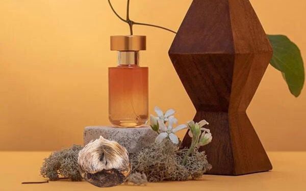 Nước hoa xạ hương - Mùi hương của sự quyến rũ, mê hoặc