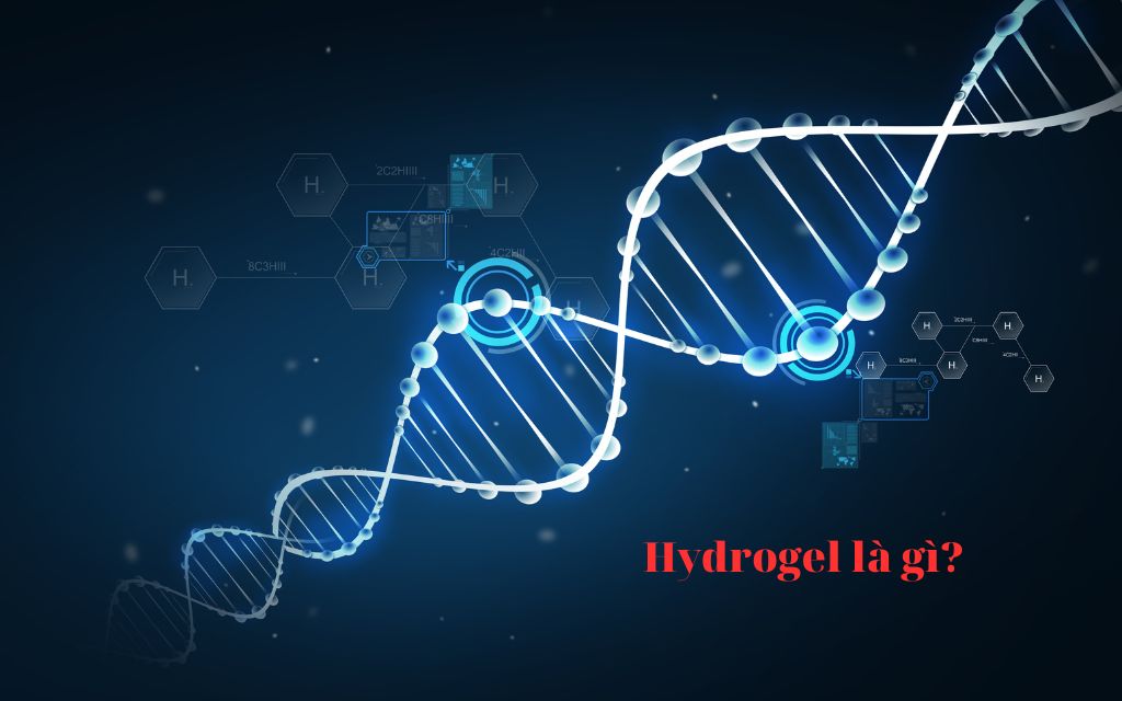 Hydrogel là gì? Công nghệ hydrogel là gì?