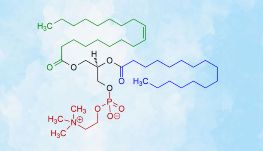 Hydrogenated lecithin là gì?