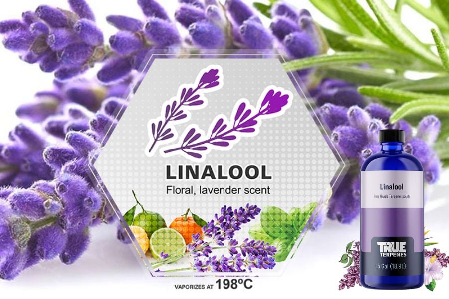 Linalool là gì?