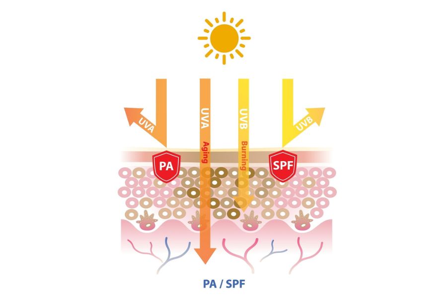 Ngoài SPF thường thấy, PA cũng là chỉ số bảo vệ quan trọng của kem chống nắng