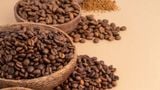 Bí Quyết Phân Biệt Hạt Cà Phê Arabica Và Robusta